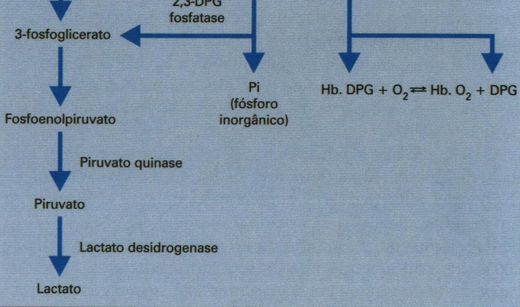 glicólise