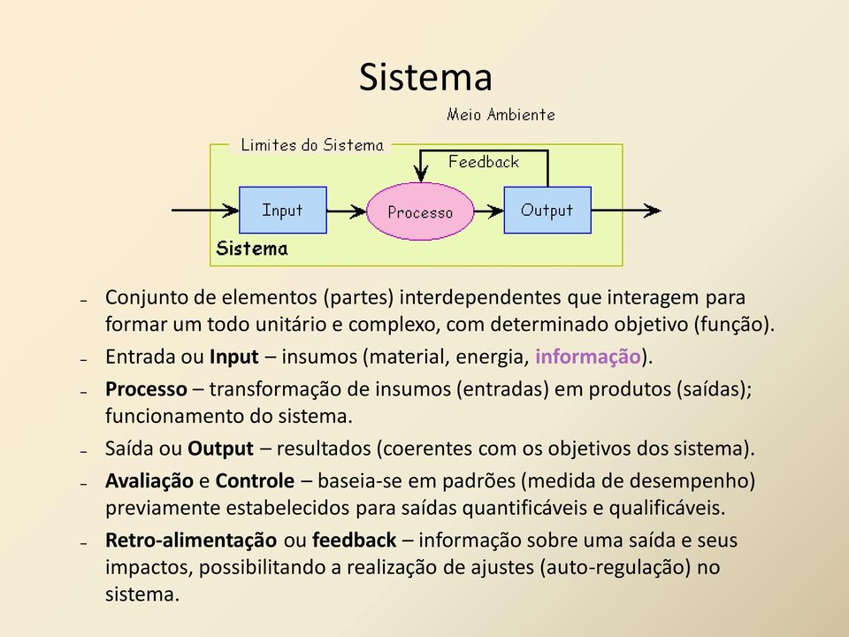 Saída ou Output resultados (coerentes com os objetivos dos sistema).