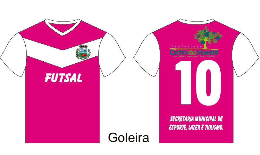 FUTSAL FEMININO ARTE 012 Futsal BLUSA GOLEIRA Camisa feminina em tecido Dry Malha tecida com 100% dos fios de poliéster, camisa na cor branca com uma fita na altura do peito rosa, gola V na cor rosa