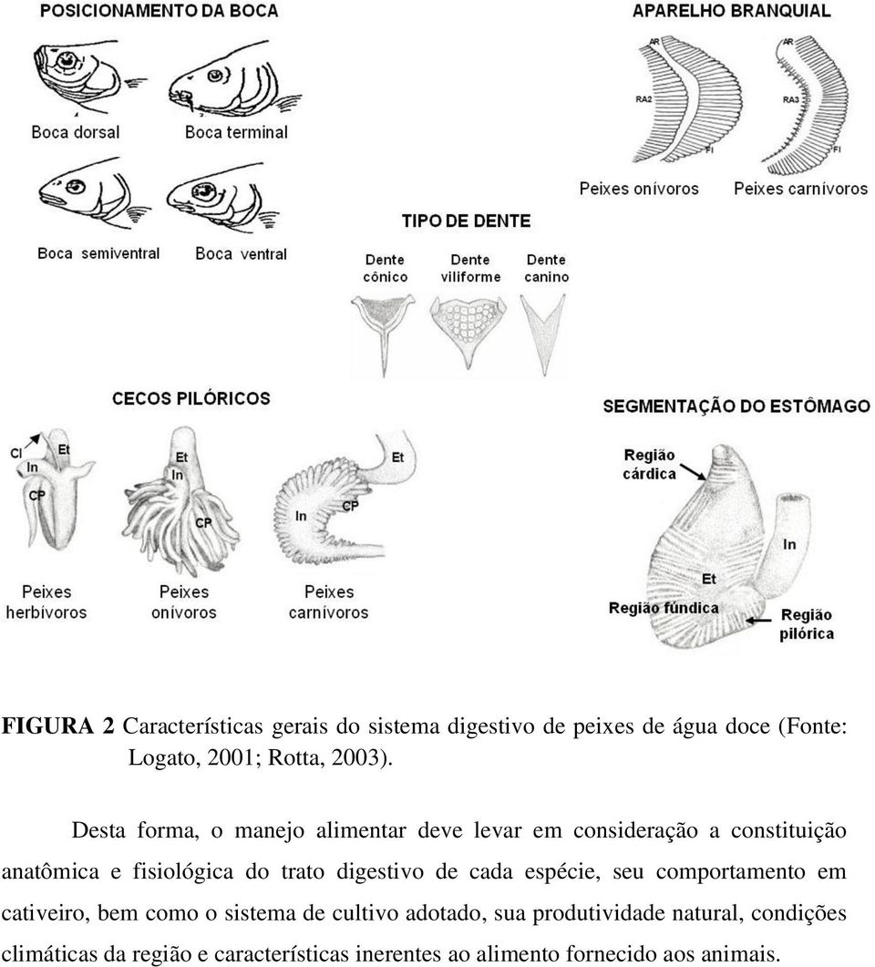 Desta forma, o manejo alimentar deve levar em consideração a constituição anatômica e fisiológica do trato