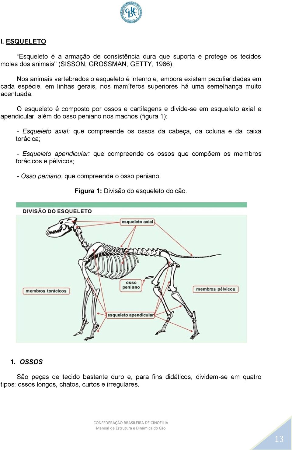 O esqueleto é composto por ossos e cartilagens e divide-se em esqueleto axial e apendicular, além do osso peniano nos machos (figura 1): - Esqueleto axial: que compreende os ossos da cabeça, da