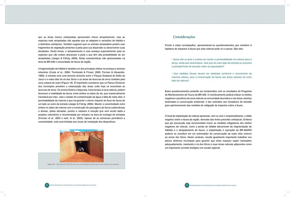 Desta forma, o atropelamento é uma ameaça especialmente para as espécies que não evitam atravessar a pista e que têm alta probabilidade de ser atropeladas (Jaeger & Fahrig, 2004).