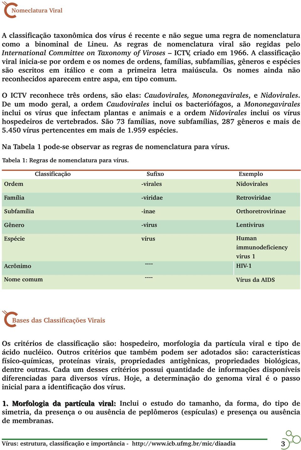 A classificação viral inicia se por ordem e os nomes de ordens, famílias, subfamílias, gêneros e espécies são escritos em itálico e com a primeira letra maiúscula.