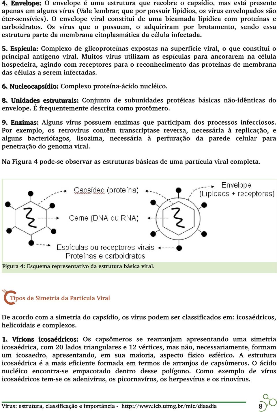 Os vírus que o possuem, o adquiriram por brotamento, sendo essa estrutura parte da membrana citoplasmática da célula infectada. 5.