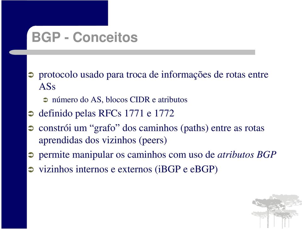 grafo dos caminhos (paths) entre as rotas aprendidas dos vizinhos (peers) permite