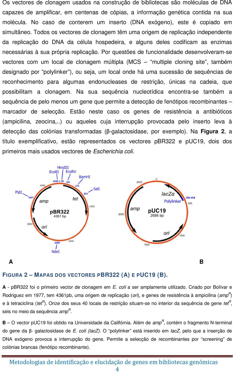 Todos os vectores de clonagem têm uma origem de replicação independente da replicação do DNA da célula hospedeira, e alguns deles codificam as enzimas necessárias à sua própria replicação.