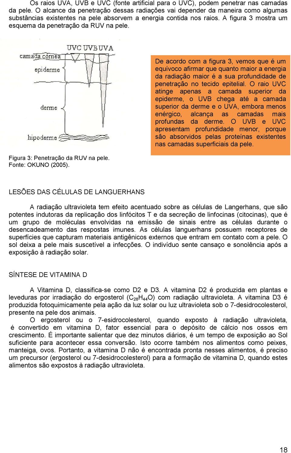 A figura 3 mostra um esquema da penetração da RUV na pele. Figura 3: Penetração da RUV na pele. Fonte: OKUNO (2005).