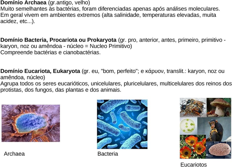 pro, anterior, antes, primeiro, primitivo - karyon, noz ou amêndoa - núcleo = Nucleo Primitivo) Compreende bactérias e cianobactérias. Domínio Eucariota, Eukaryota (gr.