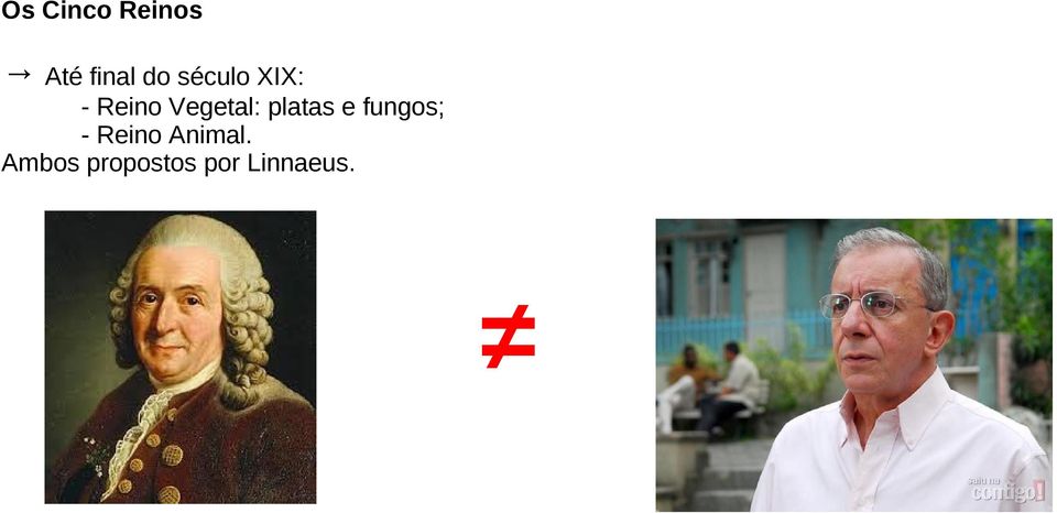 platas e fungos; - Reino