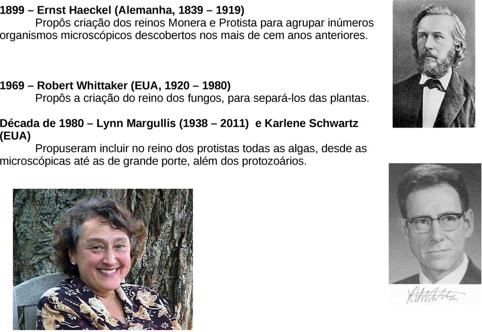 1969 Robert Whittaker (EUA, 1920 1980) Propôs a criação do reino dos fungos, para separá-los das plantas.