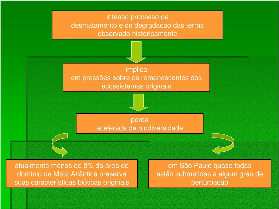 biodiversidade atualmente menos de 8% da área de domínio de Mata Atlântica preserva suas