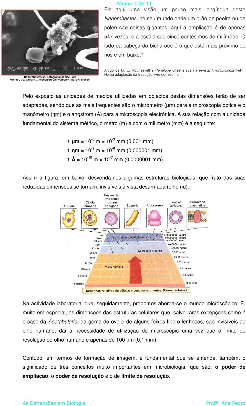 Numa adaptação da tradução livre do resumo.