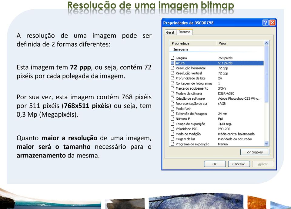Por sua vez, esta imagem contém 768 pixéis por 511 pixéis (768x511 pixéis) ou seja, tem 0,3 Mp