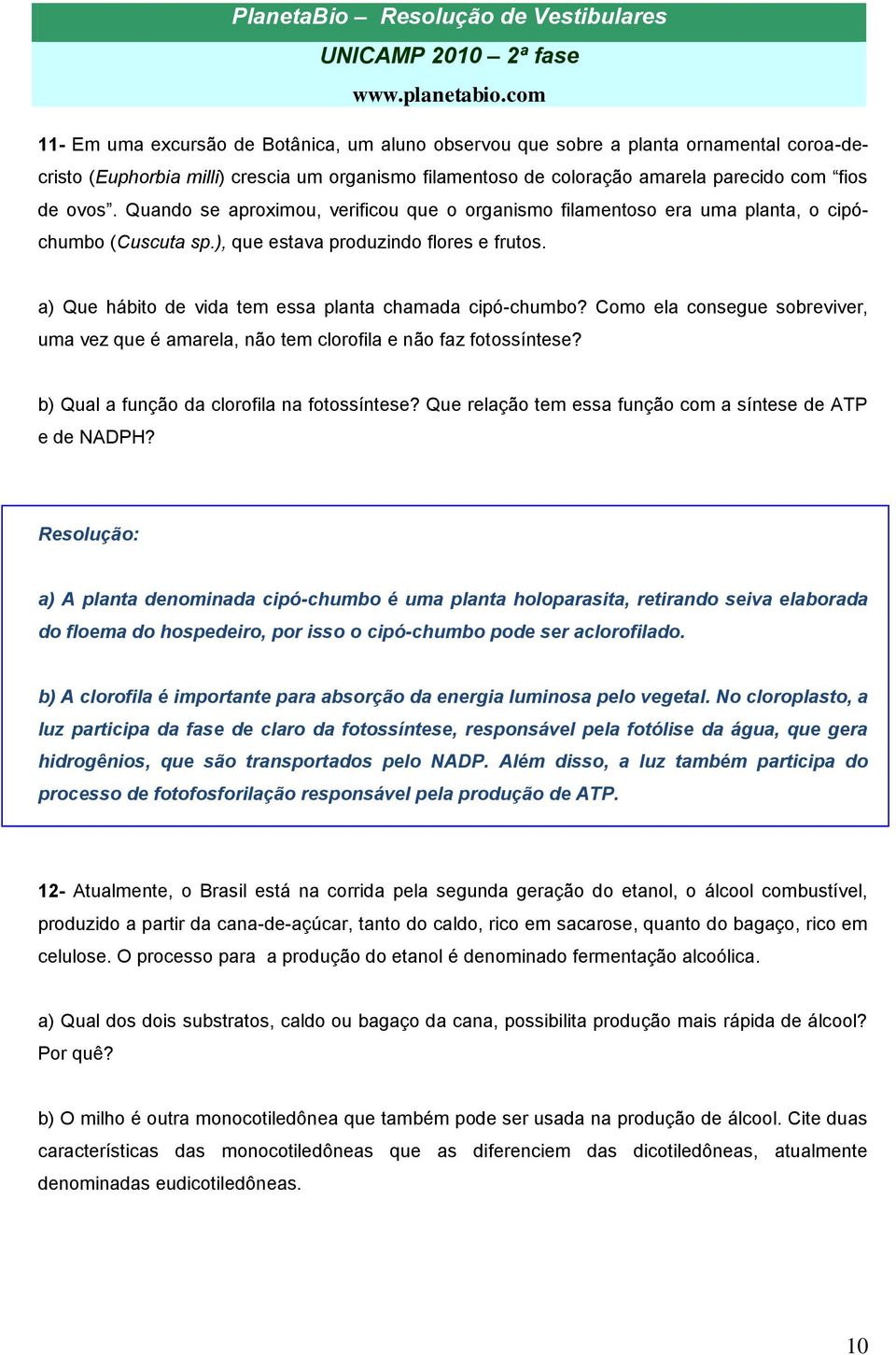 Como ela consegue sobreviver, uma vez que é amarela, não tem clorofila e não faz fotossíntese? b) Qual a função da clorofila na fotossíntese?