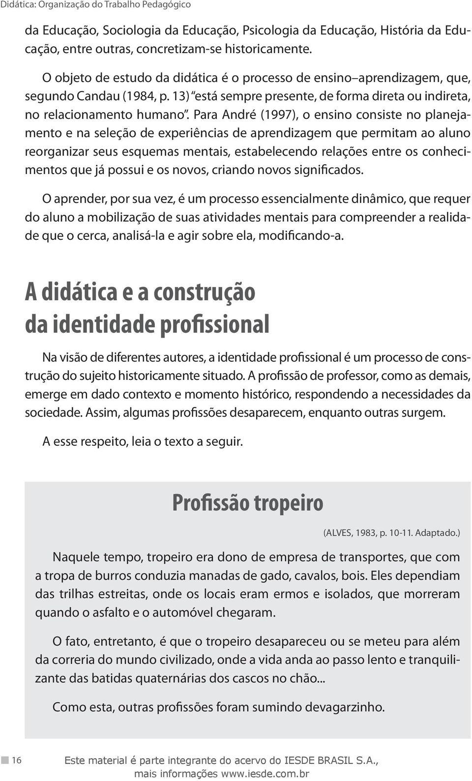 Para André (1997), o ensino consiste no planejamento e na seleção de experiências de aprendizagem que permitam ao aluno reorganizar seus esquemas mentais, estabelecendo relações entre os