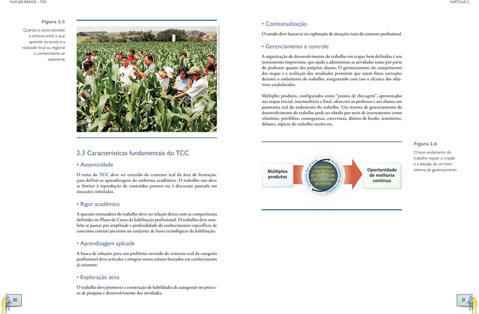 Gerenciamento e controle A organização do desenvolvimento do trabalho em etapas bem definidas é um instrumento importante, que ajuda a administrar as atividades tanto por parte do professor quanto