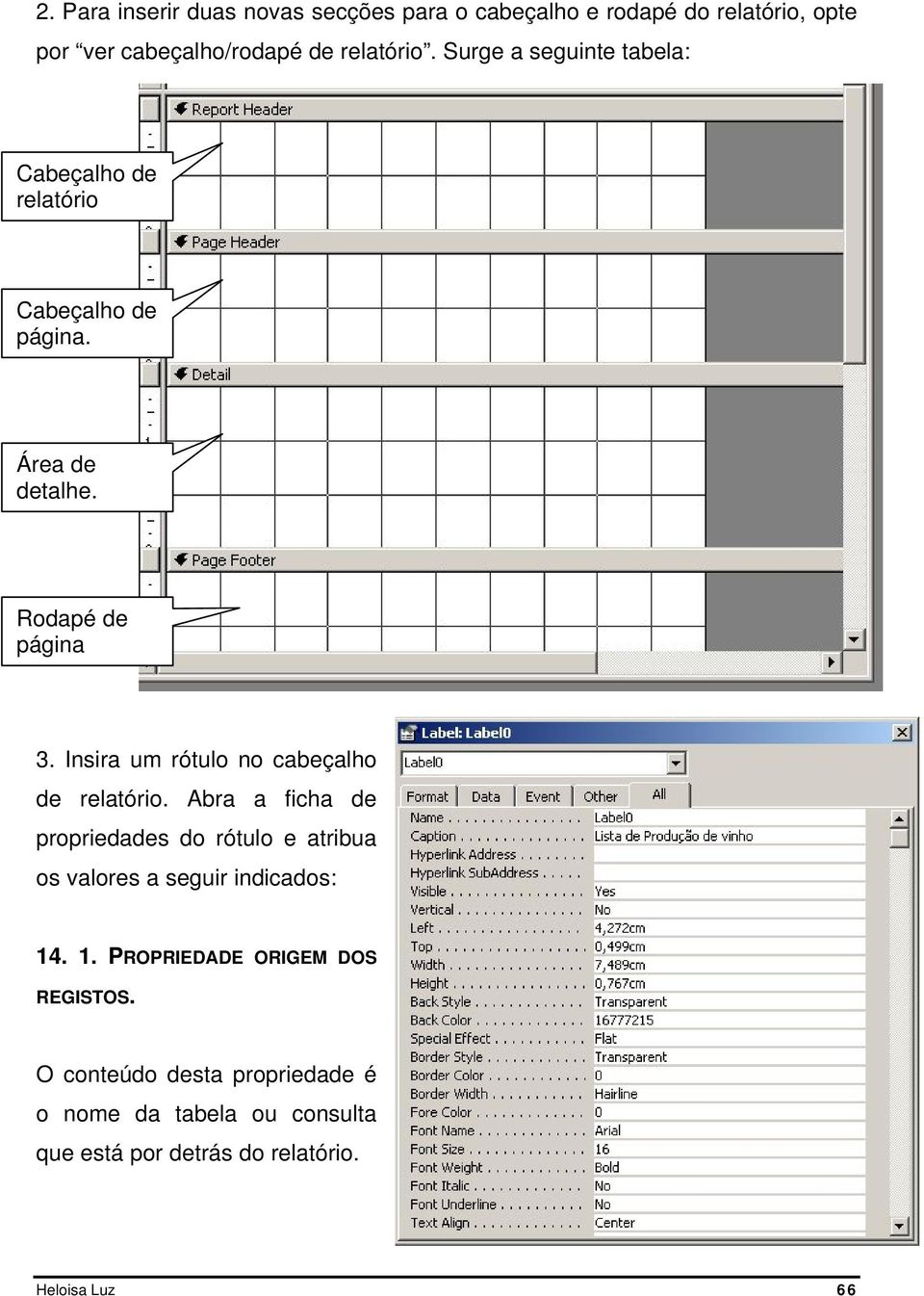 Insira um rótulo no cabeçalho de relatório.