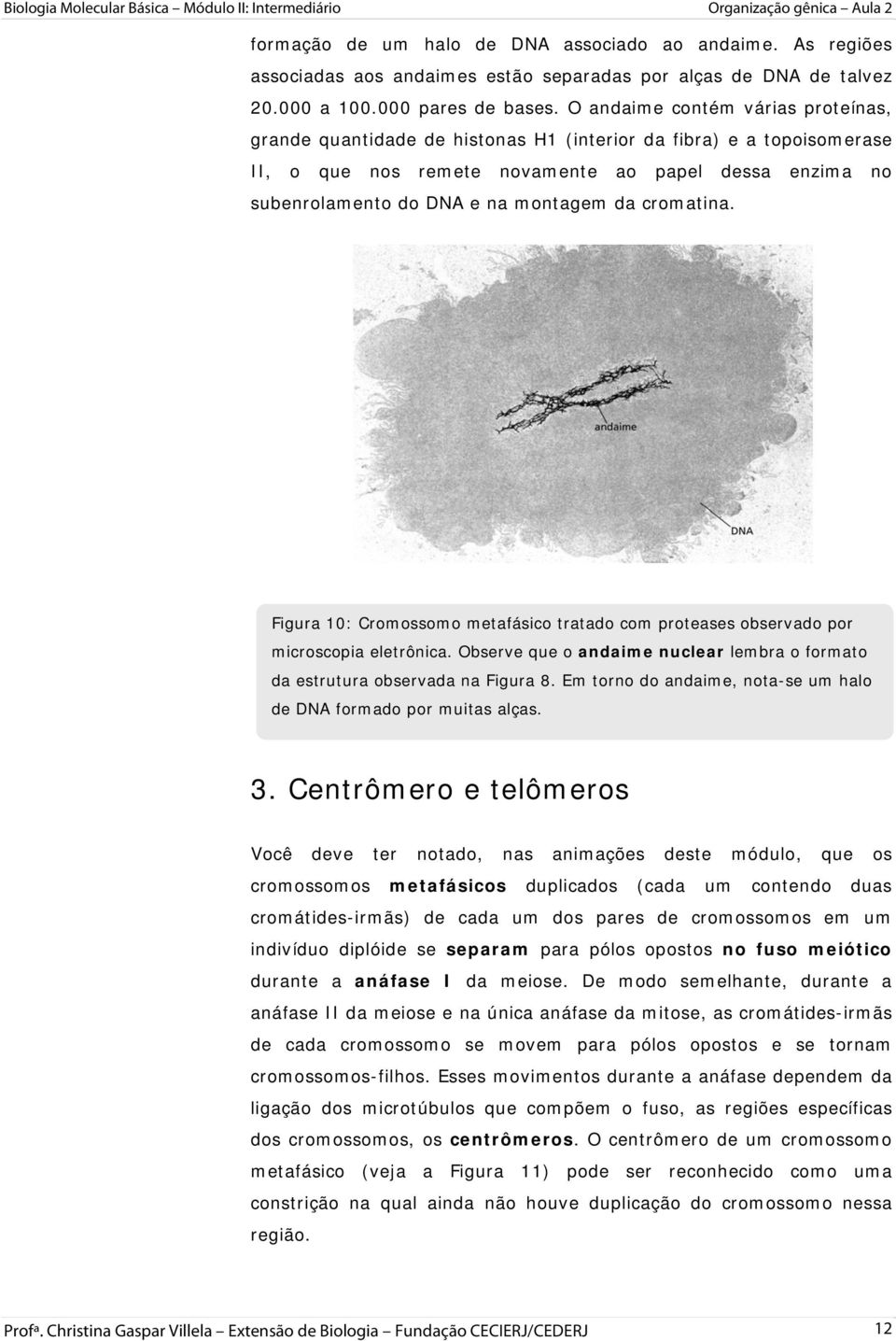 da cromatina. Figura 10: Cromossomo metafásico tratado com proteases observado por microscopia eletrônica. Observe que o andaime nuclear lembra o formato da estrutura observada na Figura 8.