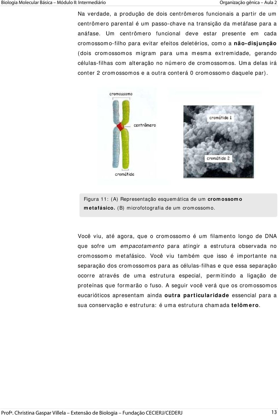 com alteração no número de cromossomos. Uma delas irá conter 2 cromossomos e a outra conterá 0 cromossomo daquele par). Figura 11: (A) Representação esquemática de um cromossomo metafásico.