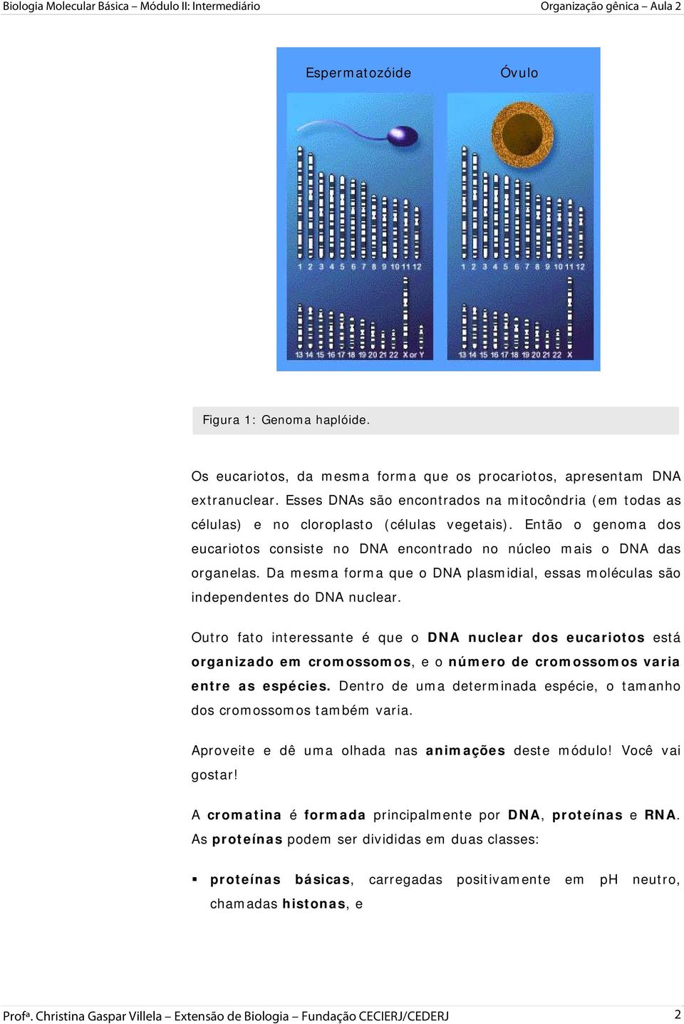 Da mesma forma que o DNA plasmidial, essas moléculas são independentes do DNA nuclear.