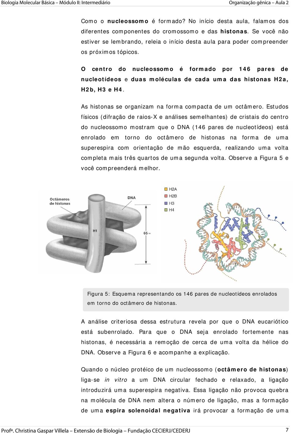 O centro do nucleossomo é formado por 146 pares de nucleotídeos e duas moléculas de cada uma das histonas H2a, H2b, H3 e H4. As histonas se organizam na forma compacta de um octâmero.