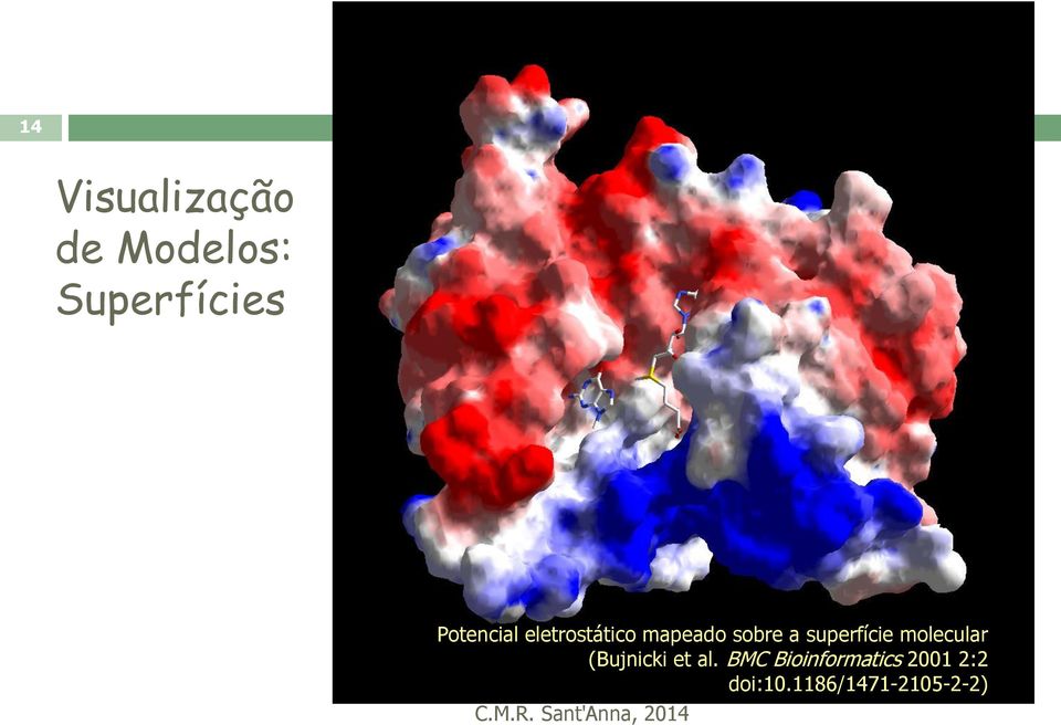 superfície molecular (Bujnicki et al.