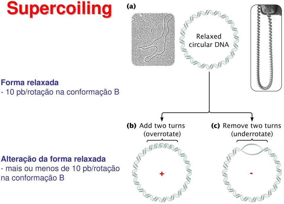 Alteração da forma relaxada - mais