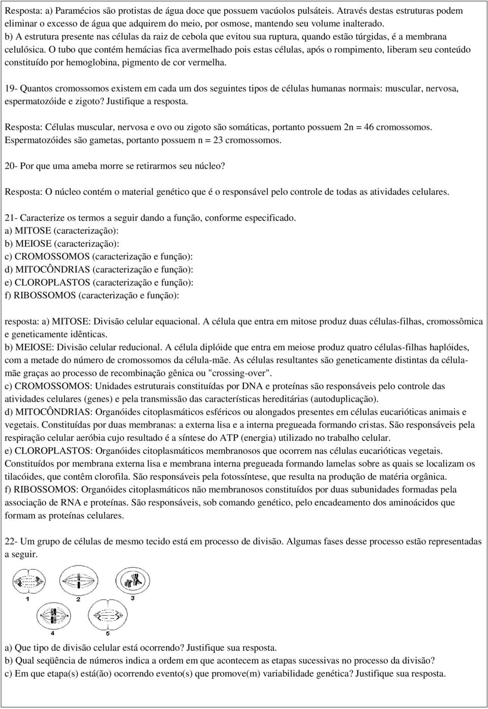 b) A estrutura presente nas células da raiz de cebola que evitou sua ruptura, quando estão túrgidas, é a membrana celulósica.