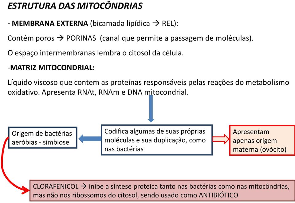 -MATRIZ MITOCONDRIAL: Líquido viscoso que contem as proteínas responsáveis pelas reações do metabolismo oxidativo. Apresenta RNAt, RNAm e DNA mitocondrial.