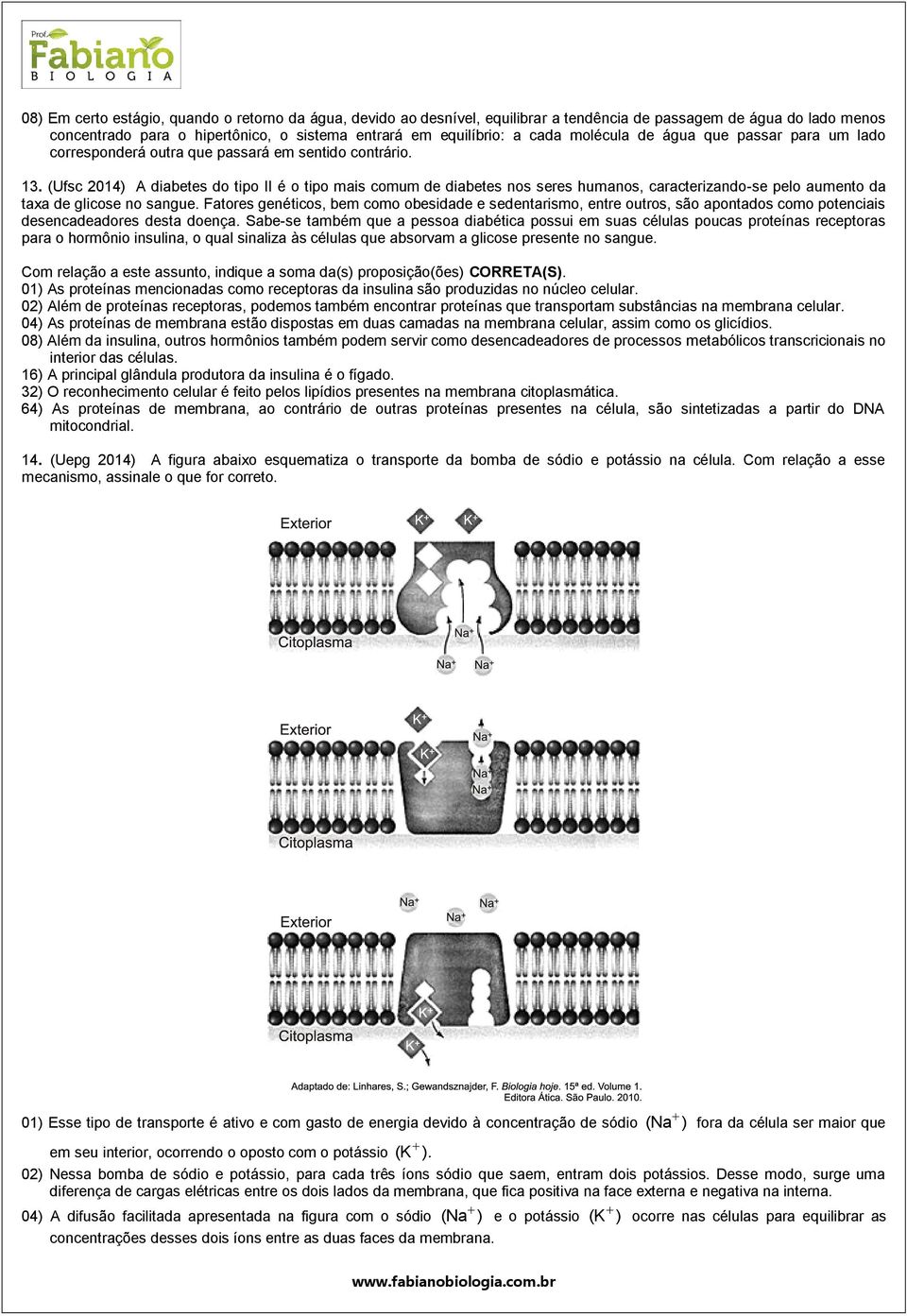 (Ufsc 2014) A diabetes do tipo II é o tipo mais comum de diabetes nos seres humanos, caracterizando-se pelo aumento da taxa de glicose no sangue.