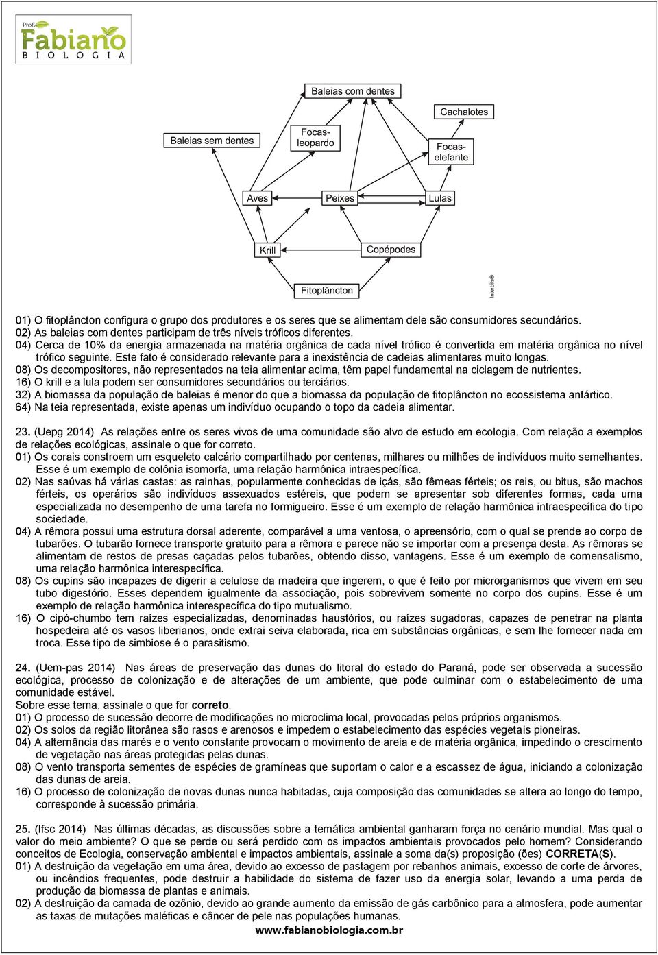 Este fato é considerado relevante para a inexistência de cadeias alimentares muito longas.