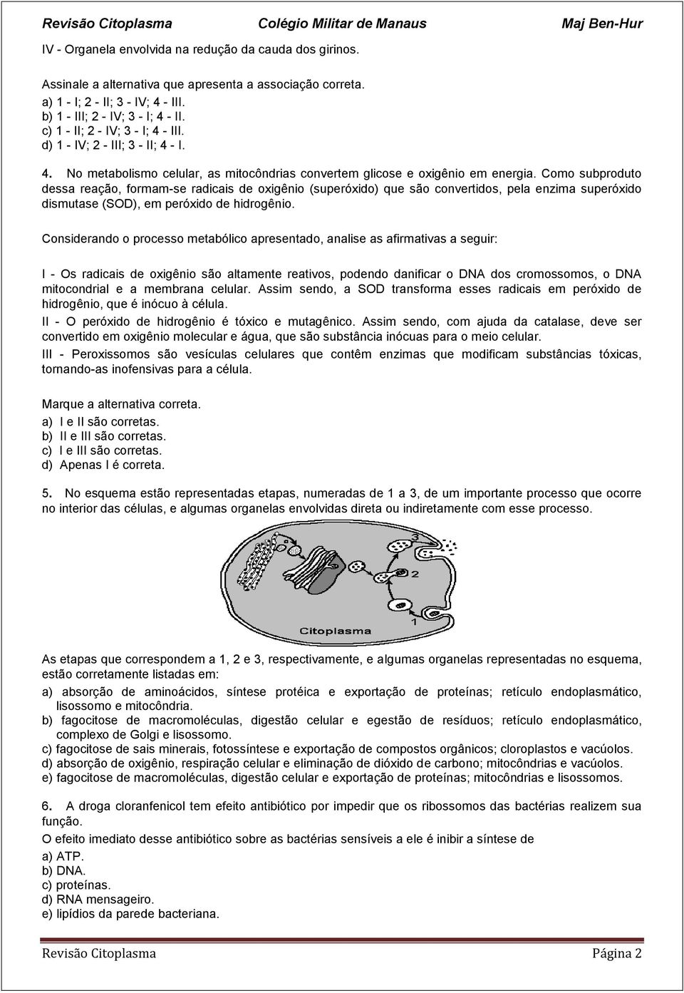 Como subproduto dessa reação, formam-se radicais de oxigênio (superóxido) que são convertidos, pela enzima superóxido dismutase (SOD), em peróxido de hidrogênio.