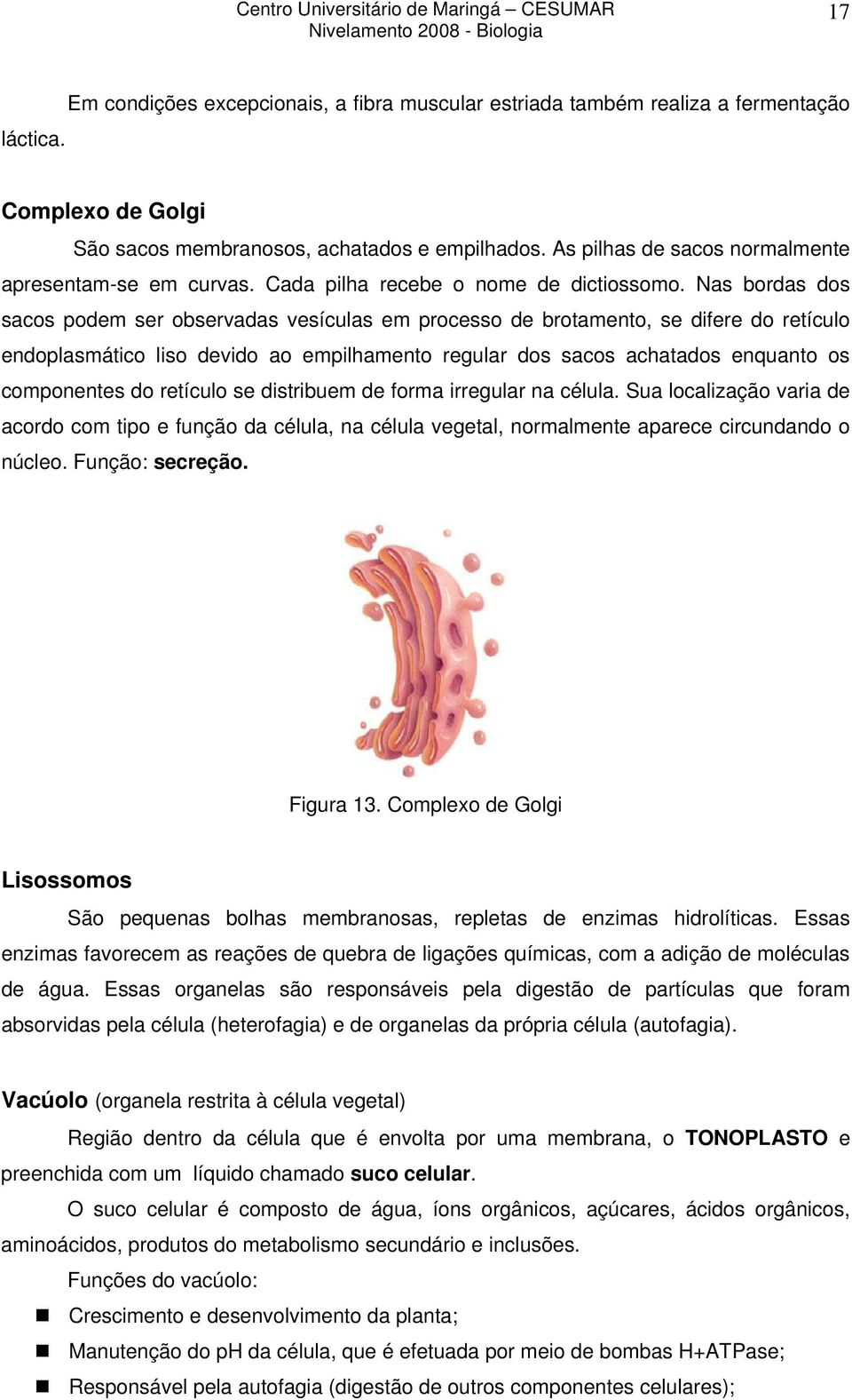 Nas bordas dos sacos podem ser observadas vesículas em processo de brotamento, se difere do retículo endoplasmático liso devido ao empilhamento regular dos sacos achatados enquanto os componentes do