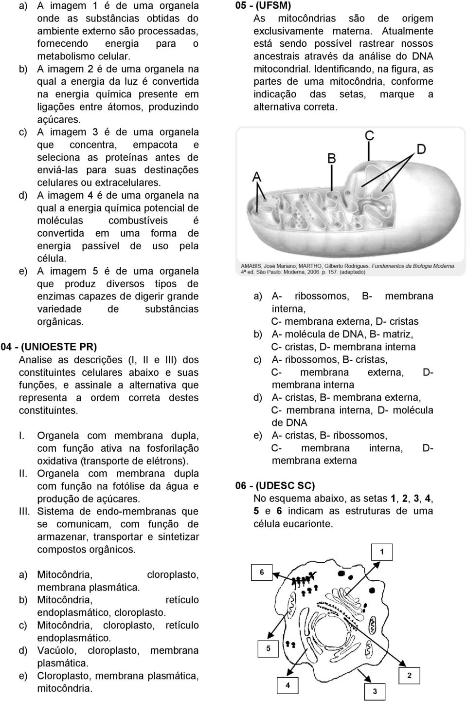 c) A imagem 3 é de uma organela que concentra, empacota e seleciona as proteínas antes de enviá-las para suas destinações celulares ou extracelulares.