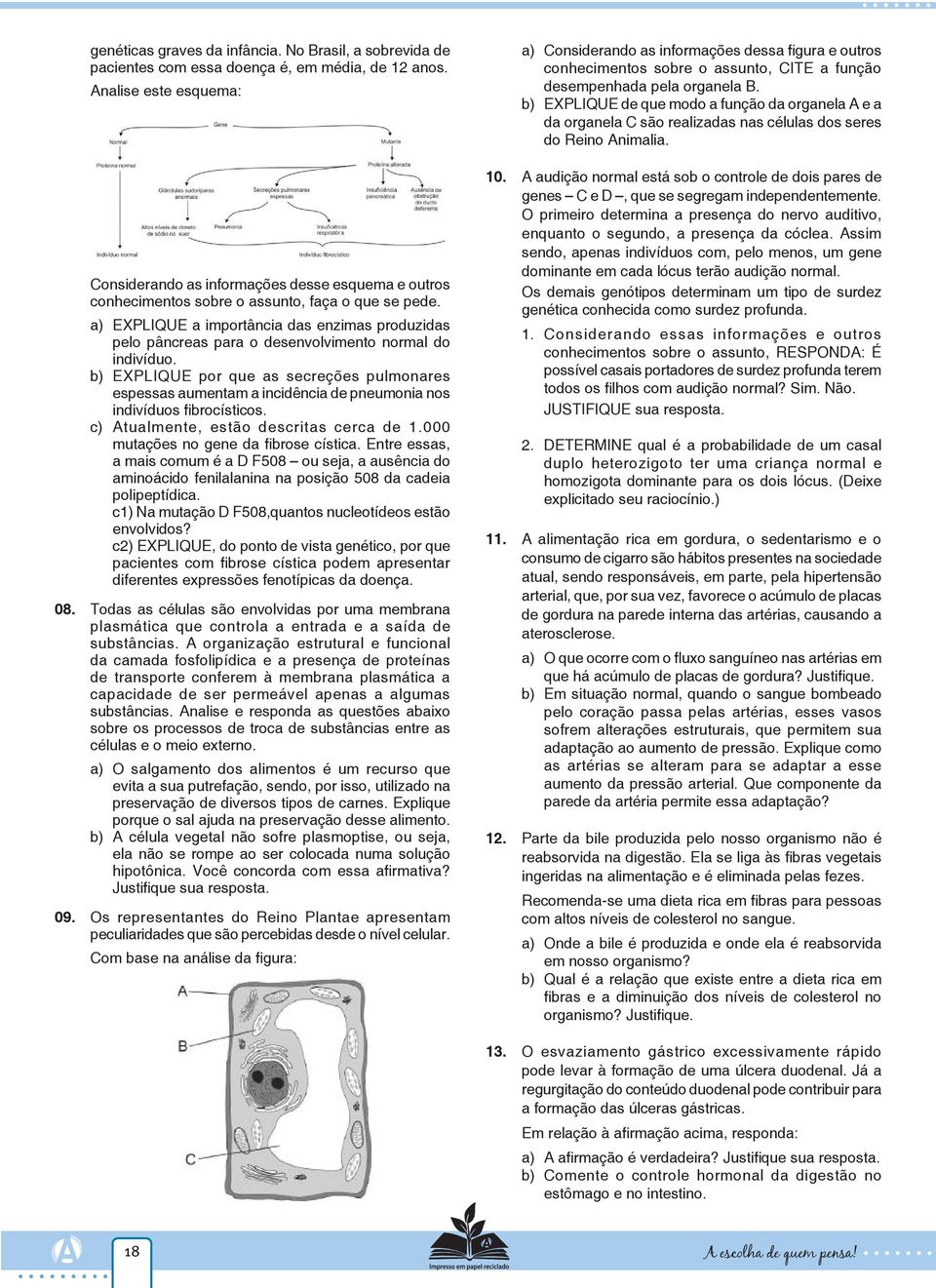 a) EXPLIQUE a importância das enzimas produzidas pelo pâncreas para o desenvolvimento normal do indivíduo.