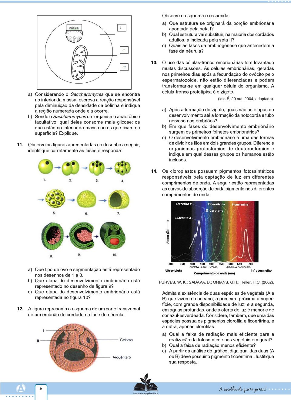 a) Considerando o Saccharomyces que se encontra no interior da massa, escreva a reação responsável pela diminuição da densidade da bolinha e indique a região numerada onde ela ocorre.