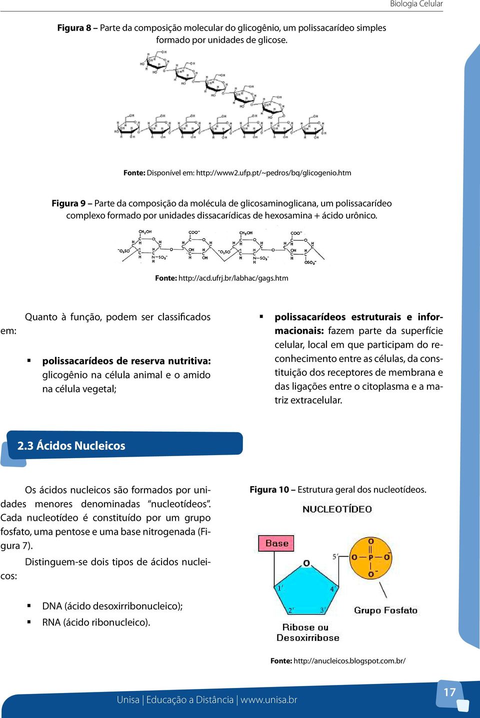 htm em: Quanto à função, podem ser classificados polissacarídeos de reserva nutritiva: glicogênio na célula animal e o amido na célula vegetal; polissacarídeos estruturais e informacionais: fazem