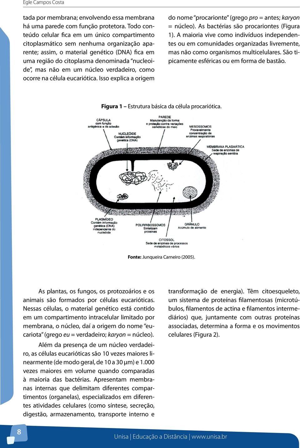 em um núcleo verdadeiro, como ocorre na célula eucariótica. Isso explica a origem do nome procarionte (grego pro = antes; karyon = núcleo). As bactérias são procariontes (Figura 1).