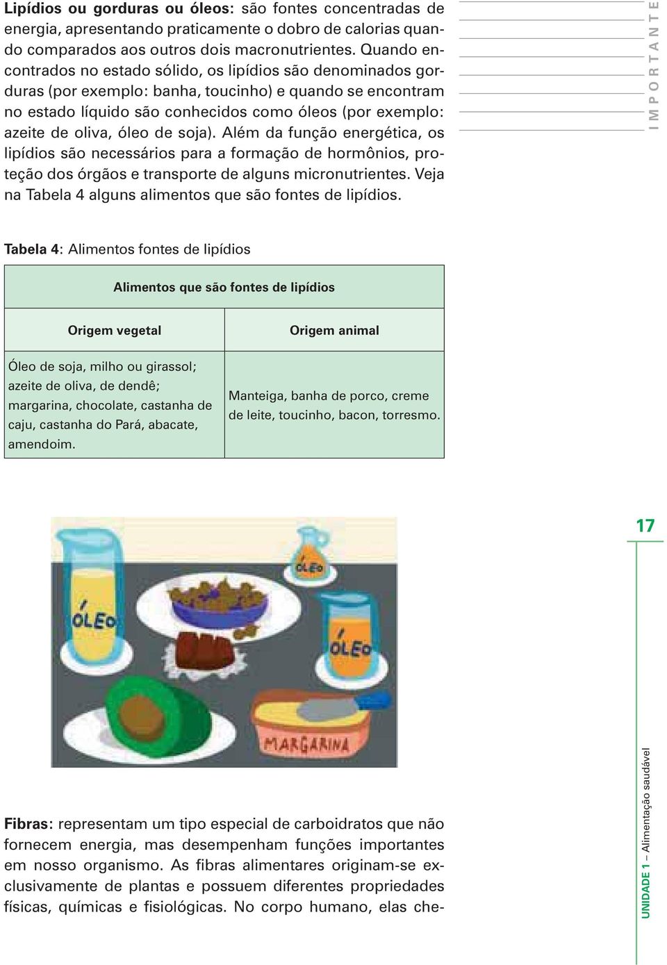 oliva, óleo de soja). Além da função energética, os lipídios são necessários para a formação de hormônios, proteção dos órgãos e transporte de alguns micronutrientes.