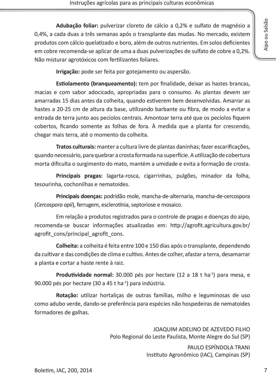 Não misturar agrotóxicos com fertilizantes foliares. Aipo ou Salsão Irrigação: pode ser feita por gotejamento ou aspersão.