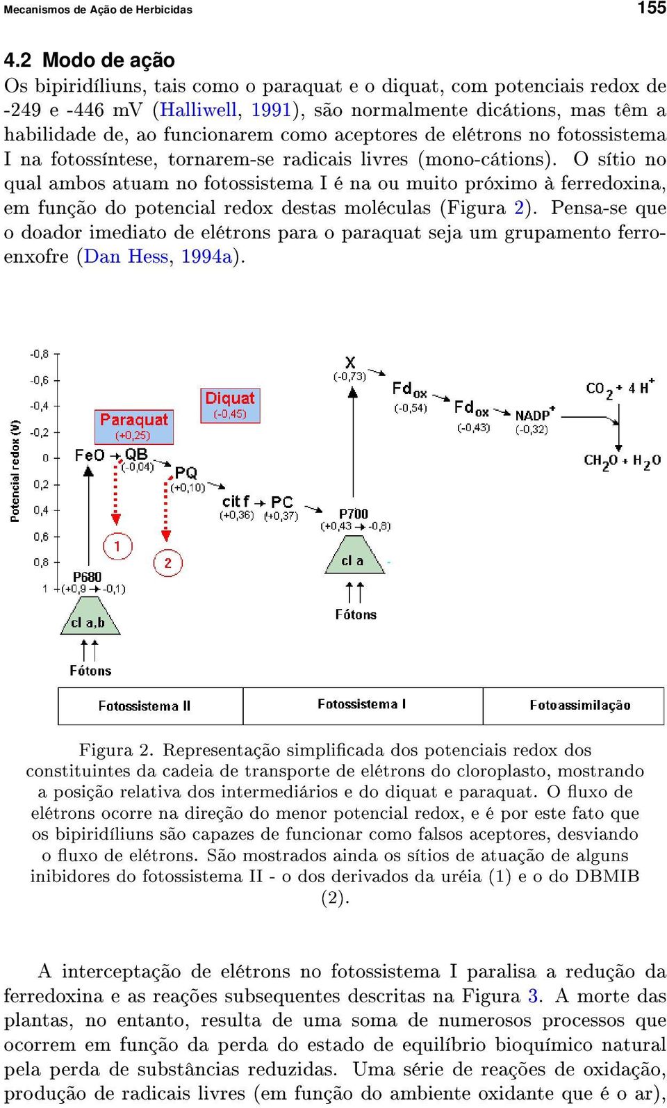 aceptores de elétrons no fotossistema I na fotossíntese, tornarem-se radicais livres (mono-cátions).