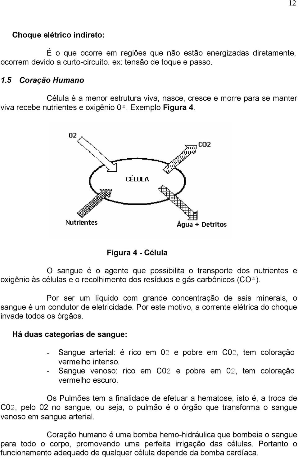 Figura 4 - Célula O sangue é o agente que possibilita o transporte dos nutrientes e oxigênio às células e o recolhimento dos resíduos e gás carbônicos (CO²).