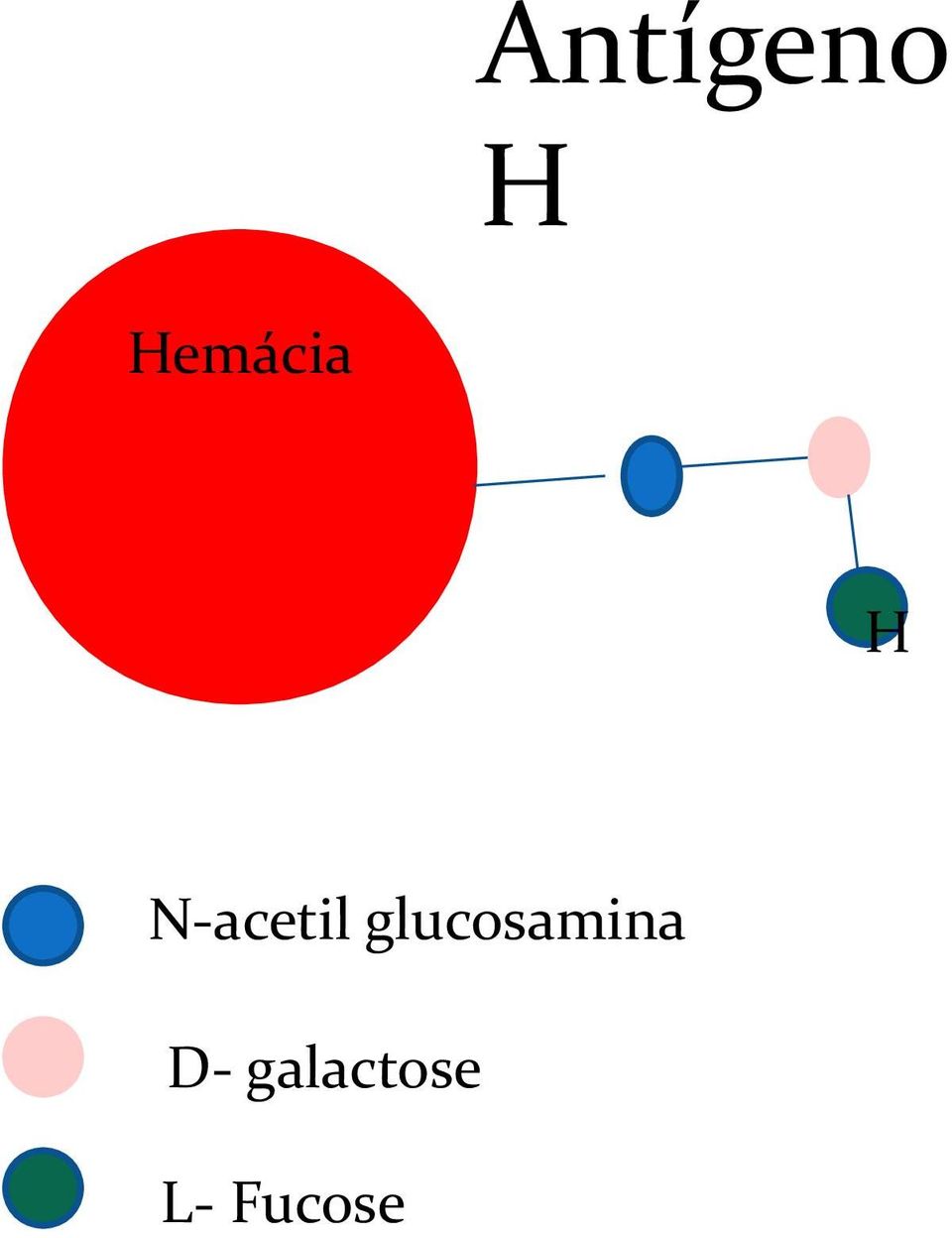 N-acetil