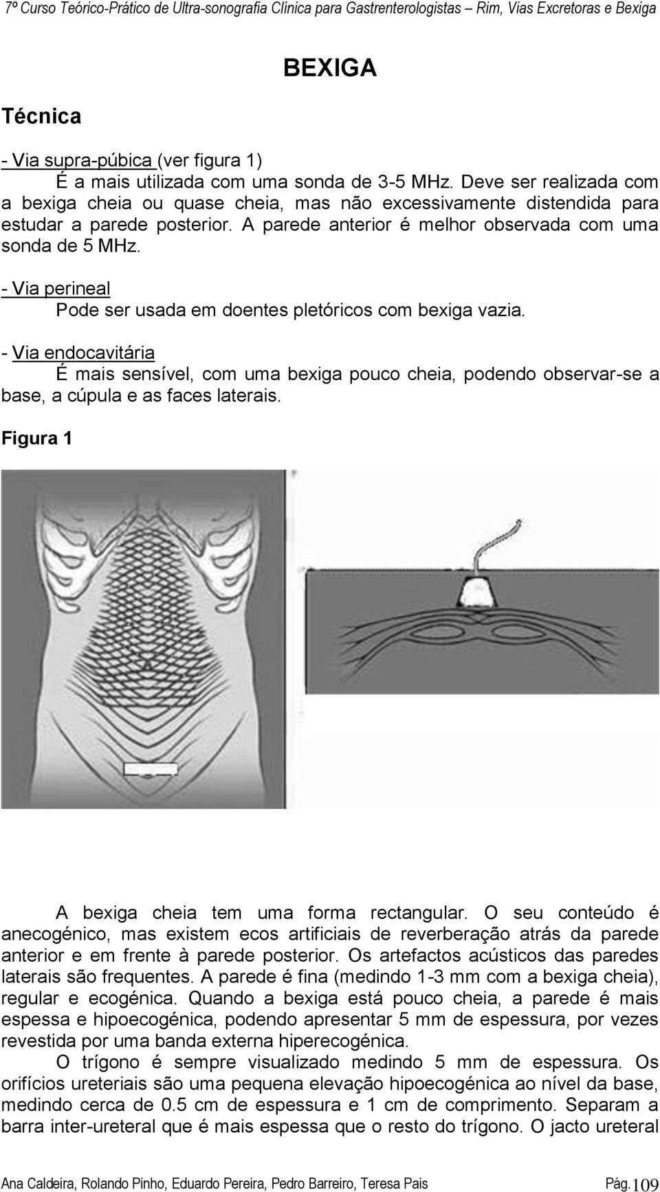 - Via perineal Pode ser usada em doentes pletóricos com bexiga vazia. - Via endocavitária É mais sensível, com uma bexiga pouco cheia, podendo observar-se a base, a cúpula e as faces laterais.