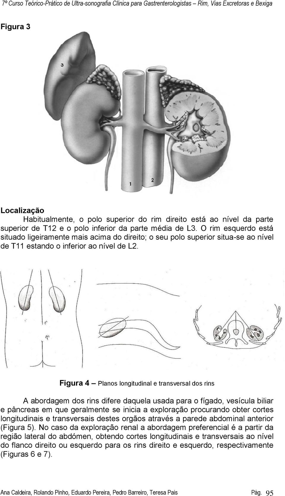 Figura 4 Planos longitudinal e transversal dos rins A abordagem dos rins difere daquela usada para o fígado, vesícula biliar e pâncreas em que geralmente se inicia a exploração procurando obter