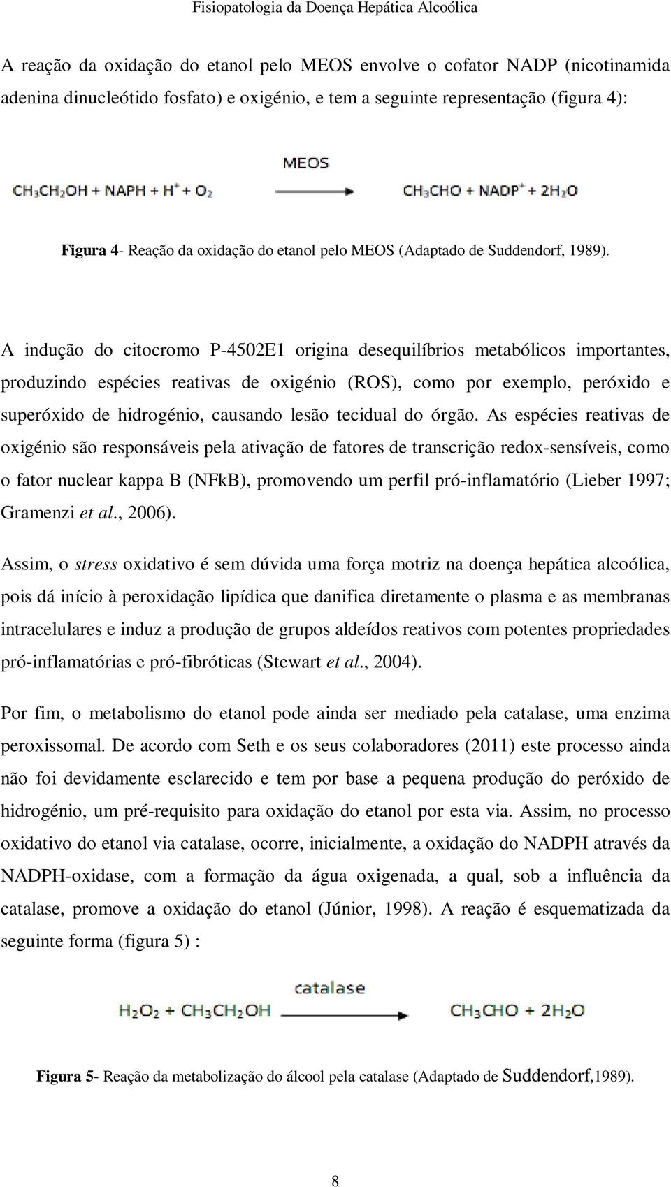 A indução do citocromo P-4502E1 origina desequilíbrios metabólicos importantes, produzindo espécies reativas de oxigénio (ROS), como por exemplo, peróxido e superóxido de hidrogénio, causando lesão