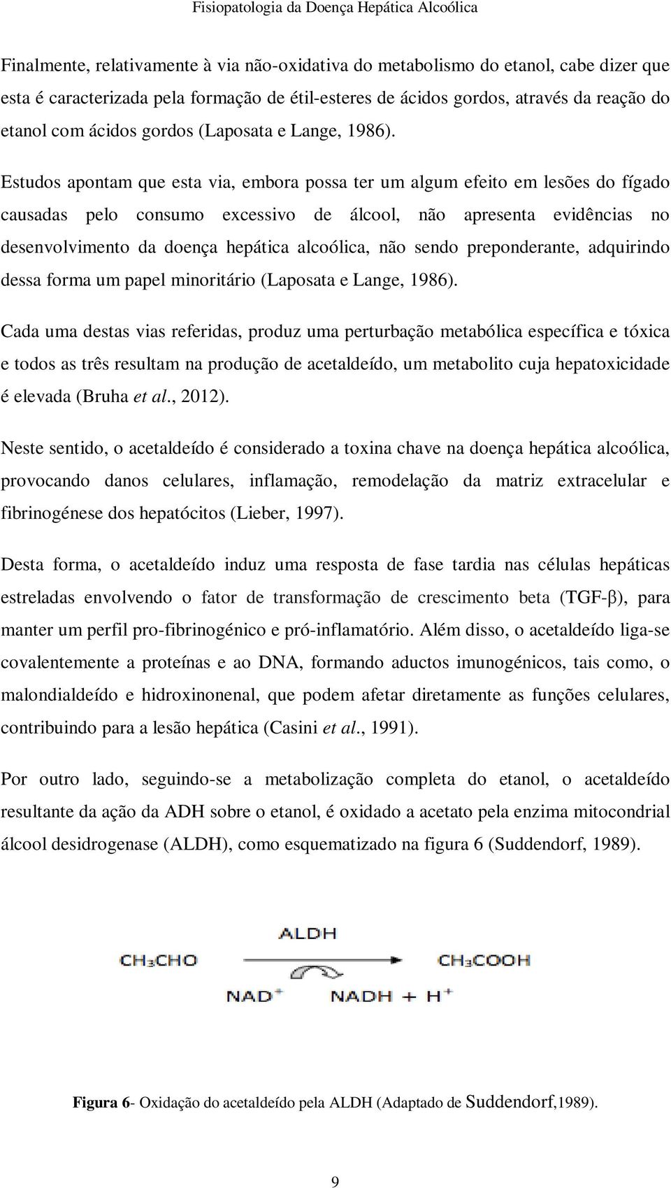 Estudos apontam que esta via, embora possa ter um algum efeito em lesões do fígado causadas pelo consumo excessivo de álcool, não apresenta evidências no desenvolvimento da doença hepática alcoólica,