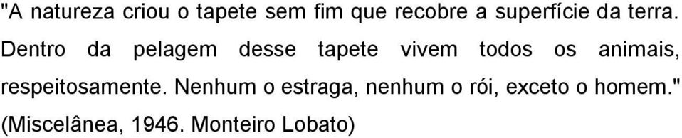 Dentro da pelagem desse tapete vivem todos os animais,