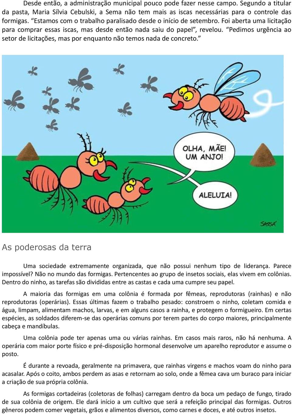 Pedimos urgência ao setor de licitações, mas por enquanto não temos nada de concreto. As poderosas da terra Uma sociedade extremamente organizada, que não possui nenhum tipo de liderança.