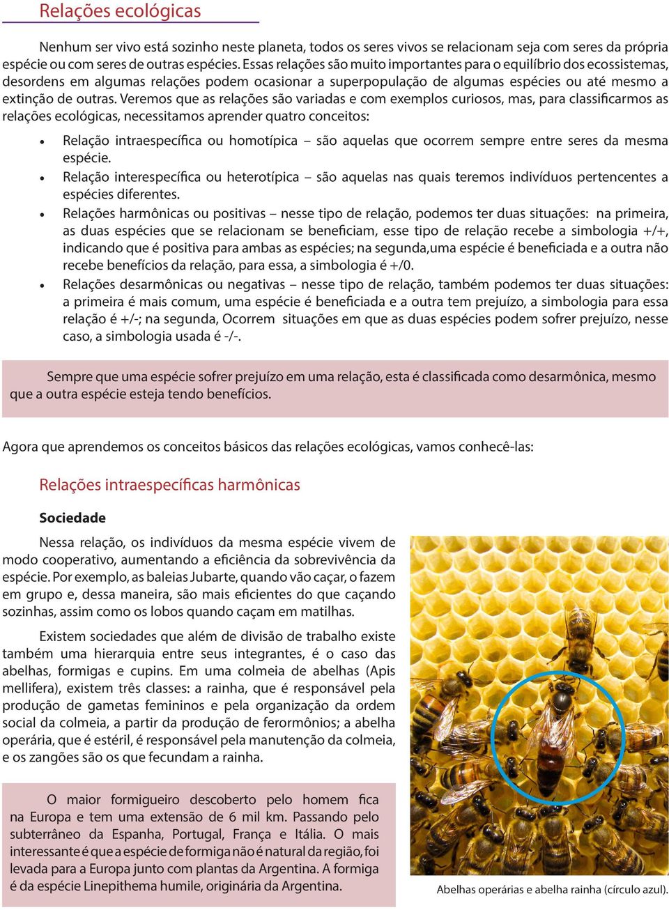 Veremos que as relações são variadas e com exemplos curiosos, mas, para classificarmos as relações ecológicas, necessitamos aprender quatro conceitos: Relação intraespecífica ou homotípica são